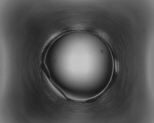 X0000086320675200704131654