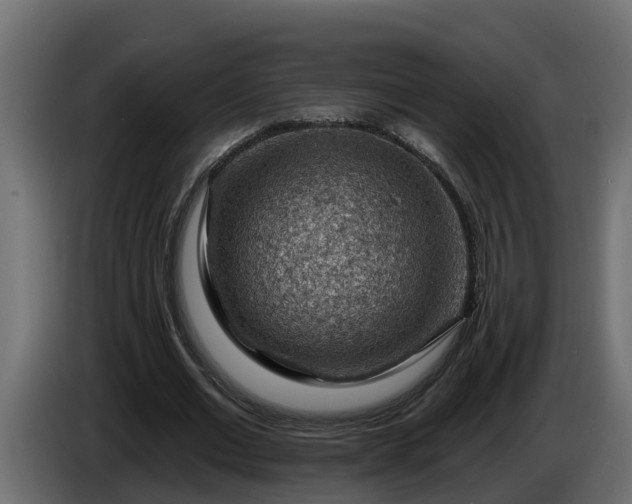 X0000086320677200704131654