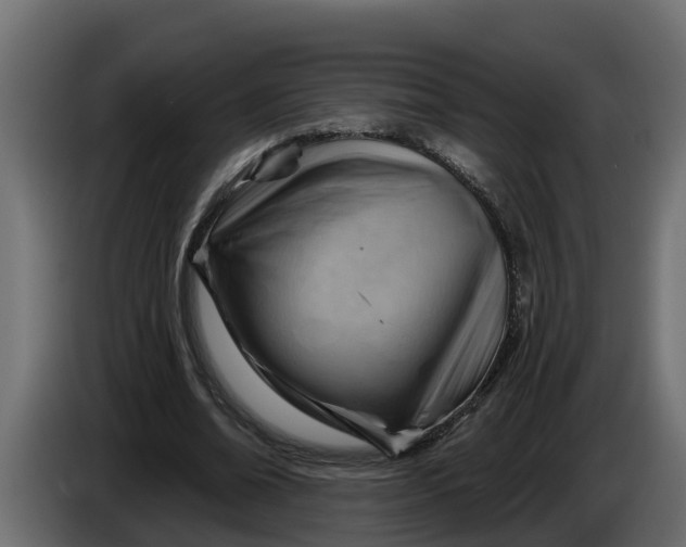 X0000086320678200704131654