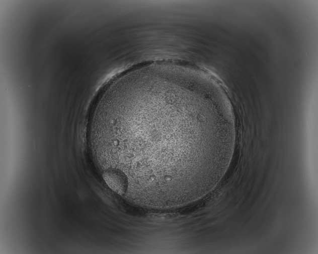 X0000086320679200704131654