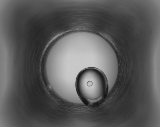 X0000086320680200704131654