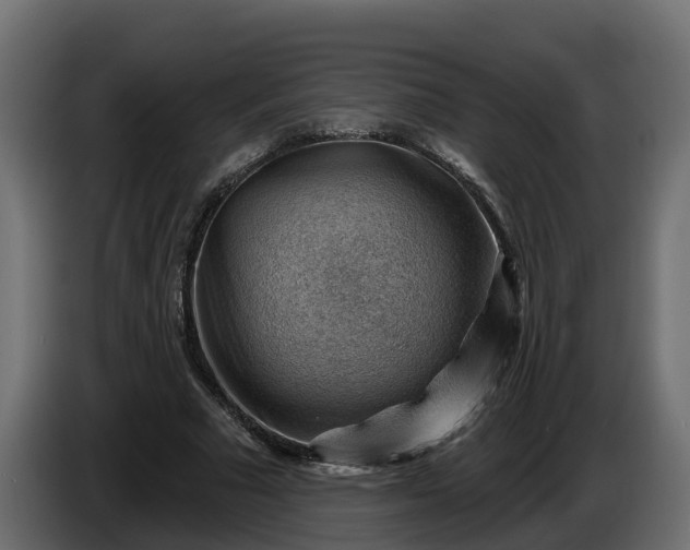 X0000086320681200704131654