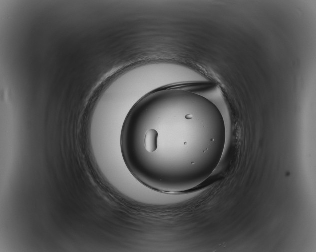 X0000086320684200704131654