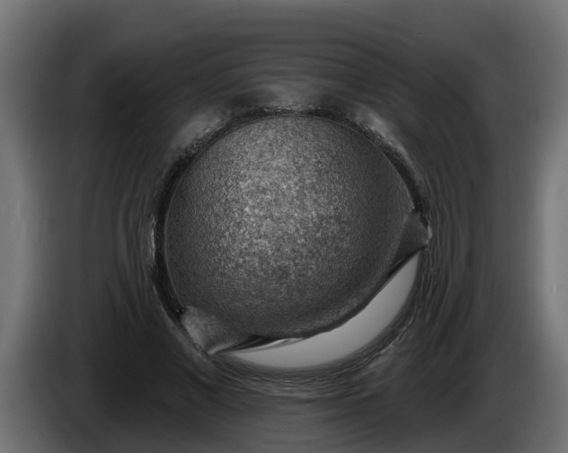 X0000086320685200704131654