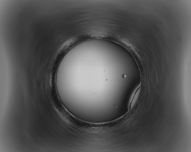 X0000086320686200704131654