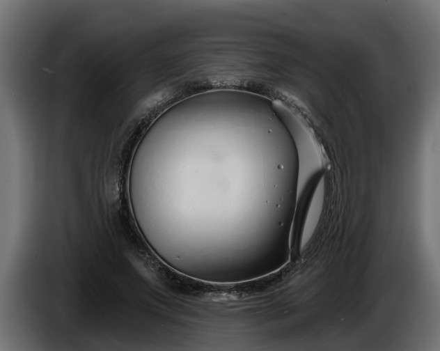 X0000086320687200704131654