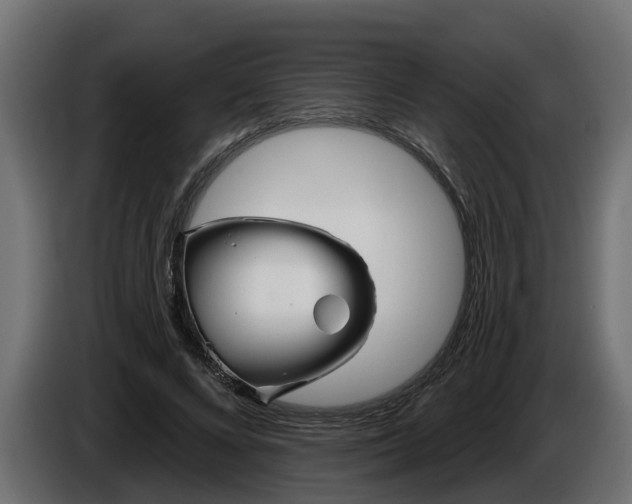 X0000086320688200704131654