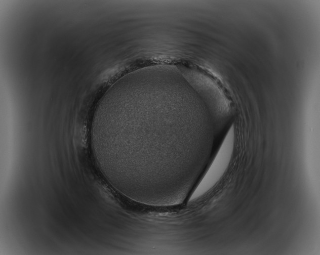 X0000086320689200704131654