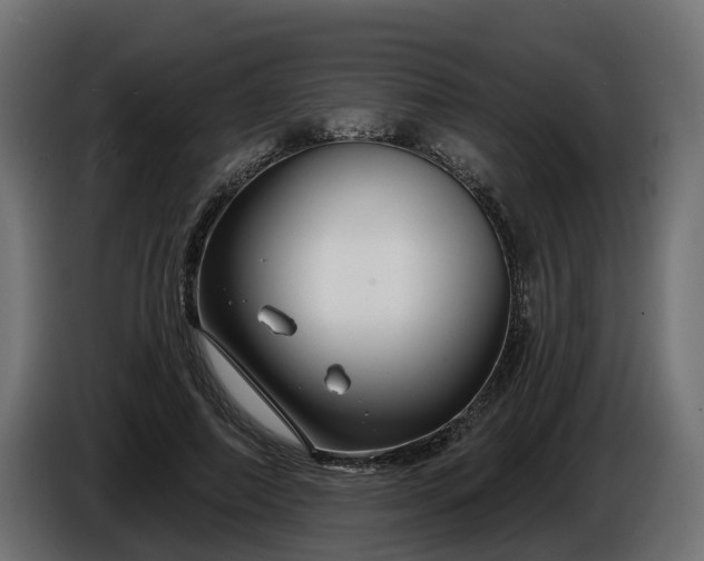 X0000086320690200704131654