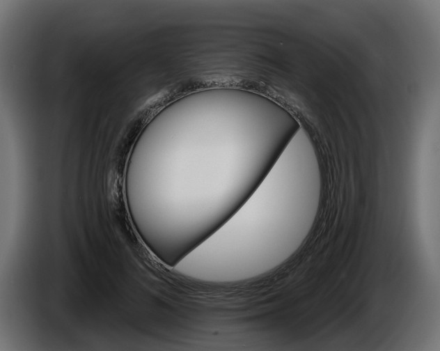 X0000086320692200704131654