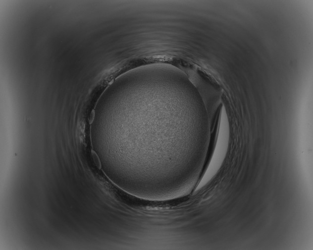 X0000086320693200704131654