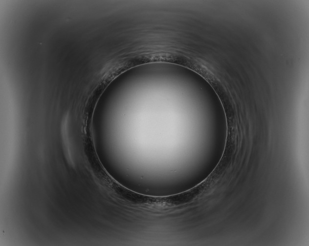 X0000086320695200704131654