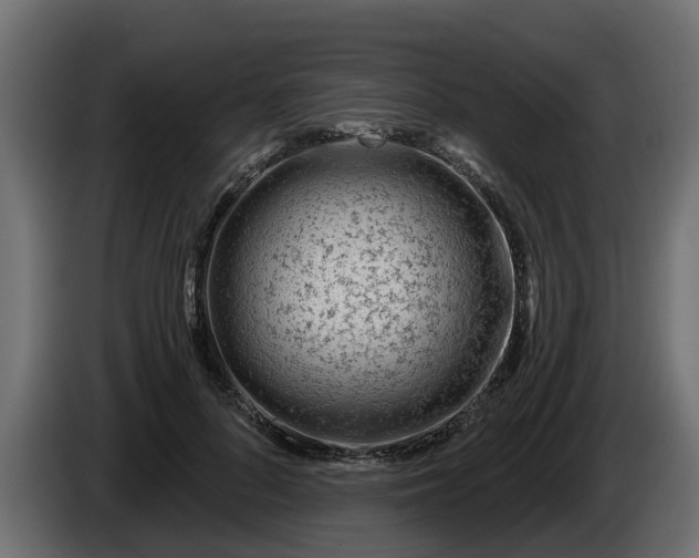 X0000086320696200704131654