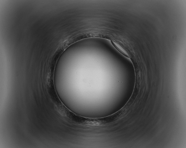 X0000086320698200704131653