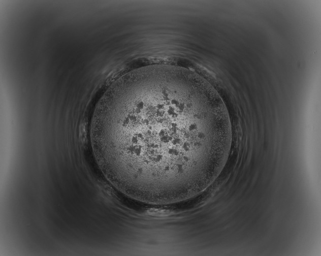 X0000086320699200704131653