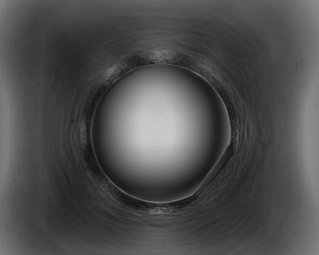 X0000086320700200704131653