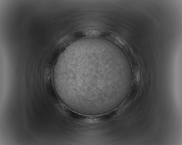 X0000086320701200704131653