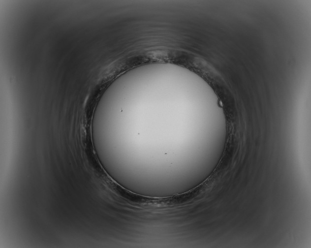 X0000086320702200704131653