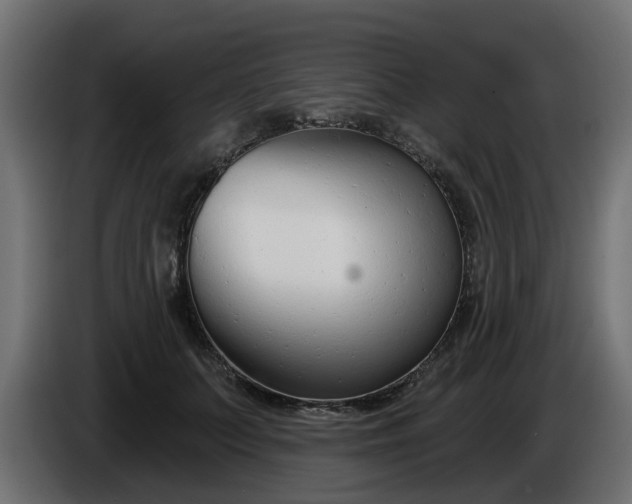 X0000086320703200704131653