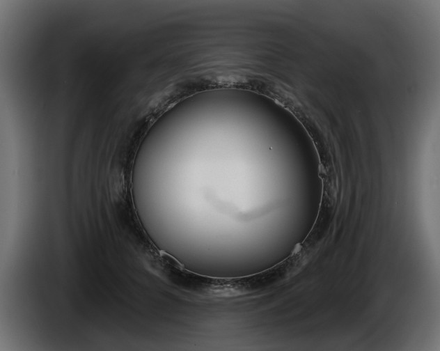 X0000086320704200704131653