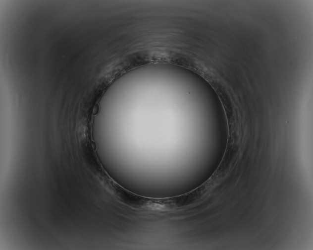 X0000086320706200704131653