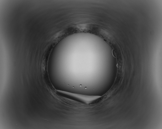 X0000086320710200704131653