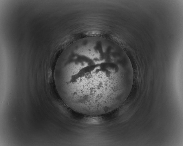 X0000086320711200704131653