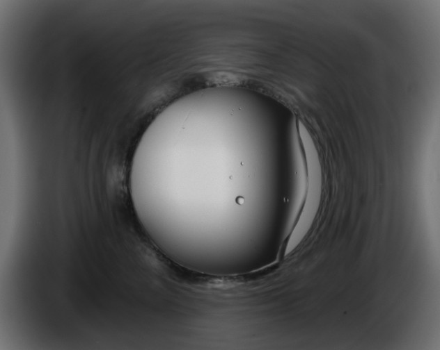 X0000086320714200704131653