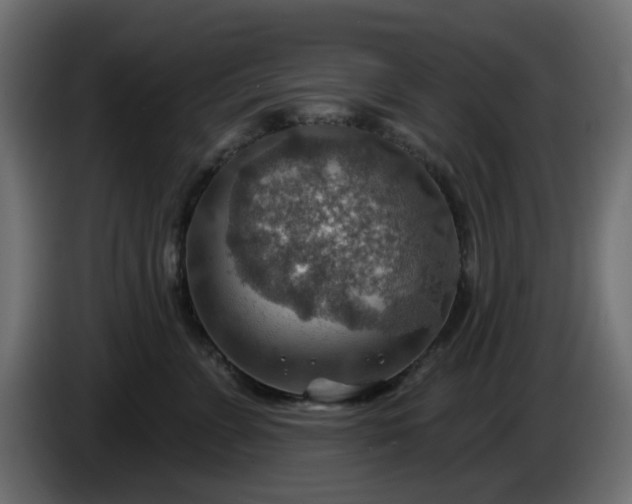 X0000086320715200704131653