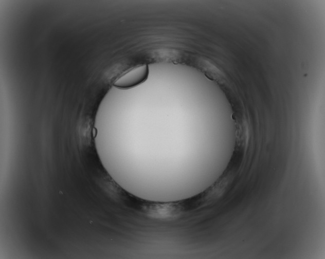 X0000086320717200704131653