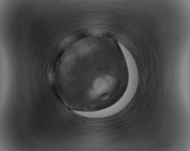 X0000086320718200704131653