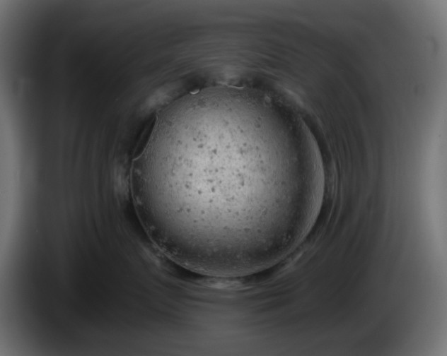 X0000086320719200704131653