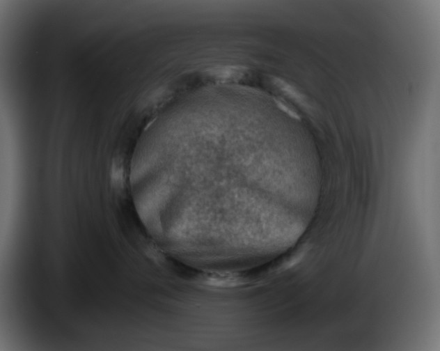 X0000086320720200704131653