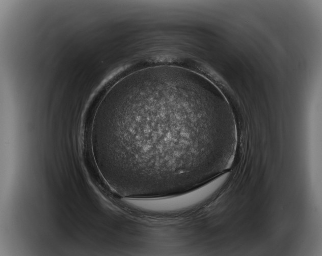 X0000086320722200704131653