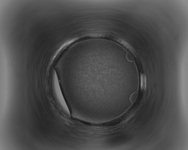 X0000086320723200704131653