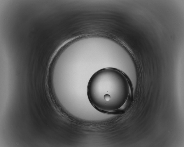 X0000086320724200704131653