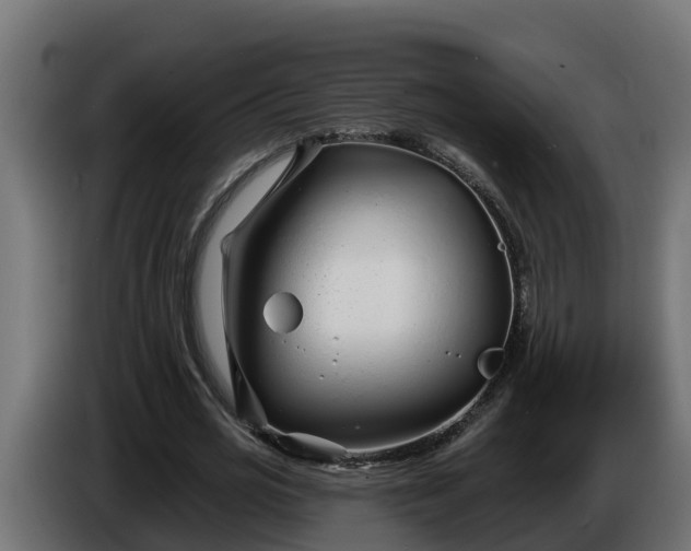 X0000086320725200704131653