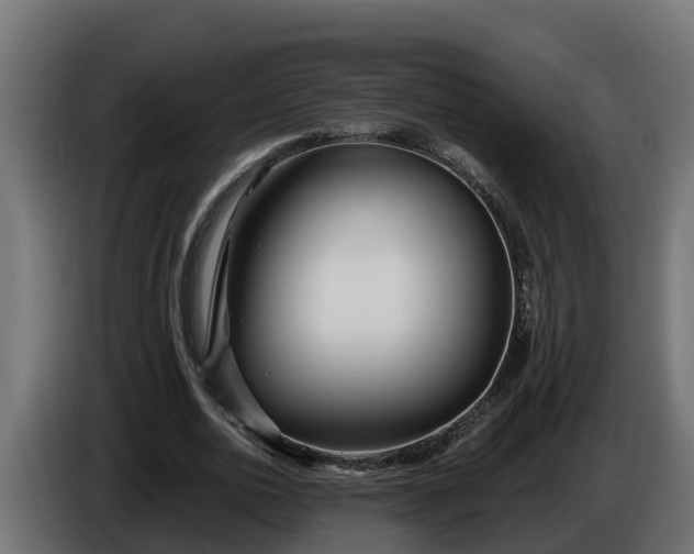 X0000086320726200704131653