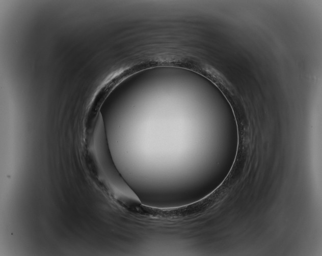 X0000086320727200704131653