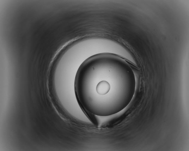 X0000086320728200704131653