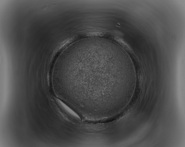 X0000086320729200704131653