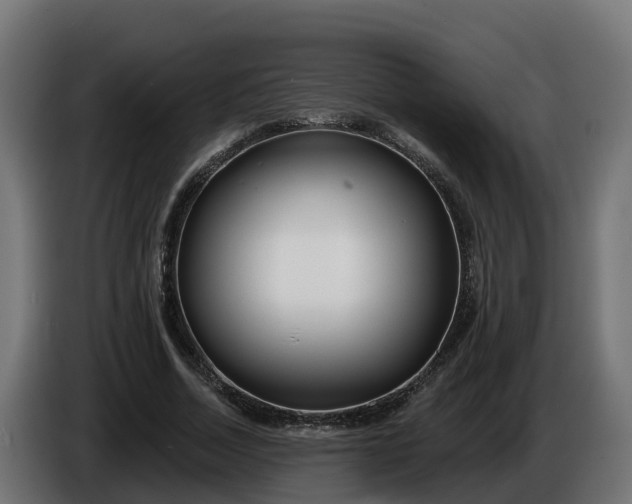 X0000086320730200704131653