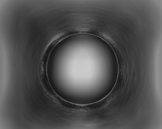 X0000086320731200704131653