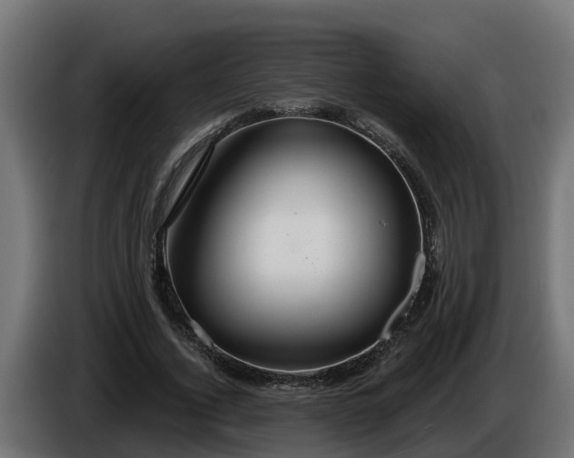 X0000086320732200704131653