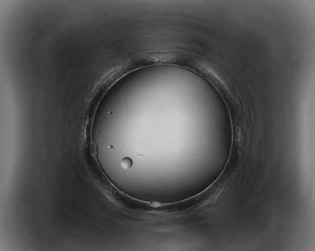 X0000086320733200704131653