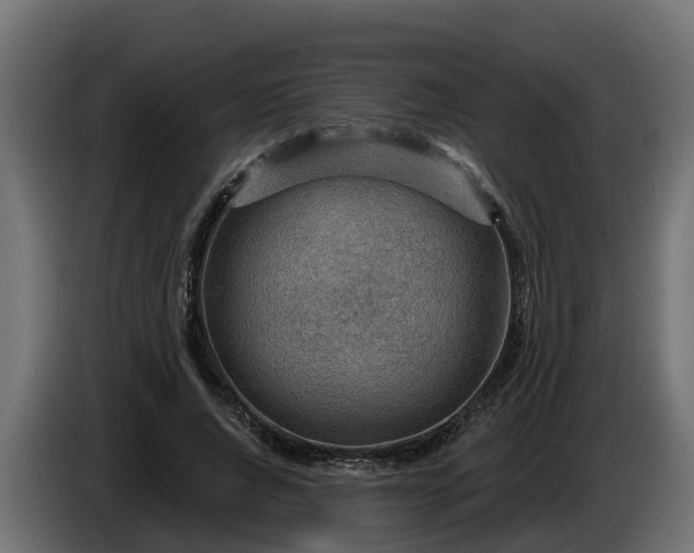 X0000086320736200704131653