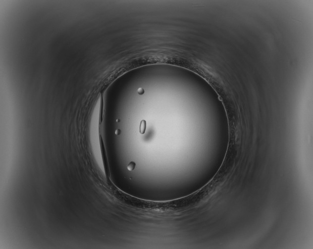 X0000086320737200704131653