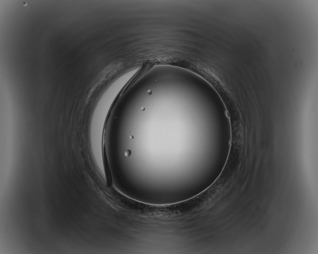 X0000086320738200704131653