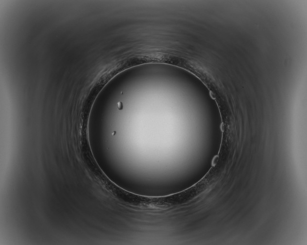 X0000086320739200704131653