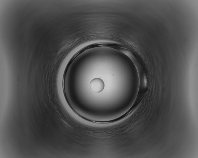 X0000086320740200704131653